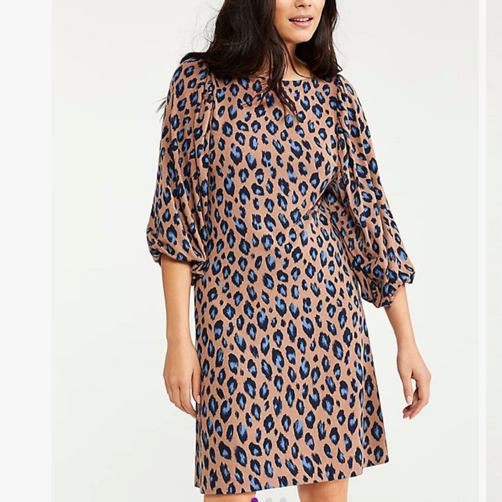 Ann Taylor animal print petite dress